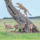 3-Day Maasai Mara Safari: Big Five Adventure