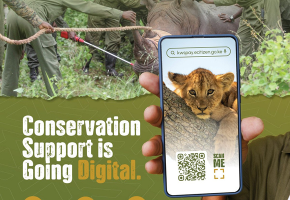 KWSPay payment platform used to pay KWS park entry and conservation fees online in Kenya.