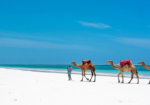 Diani Beach