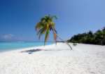 Diani Beach