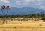 Meru National Park