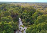 Meru National Park