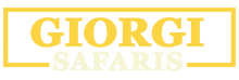Giorgi Safaris